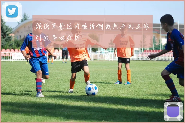 佩德罗禁区内被撞倒裁判未判点球引发争议分析